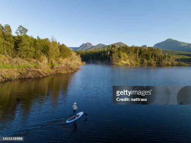paddleboarding on the garden route dam near george - garden route south africa stock pictures, royalty-free photos & images