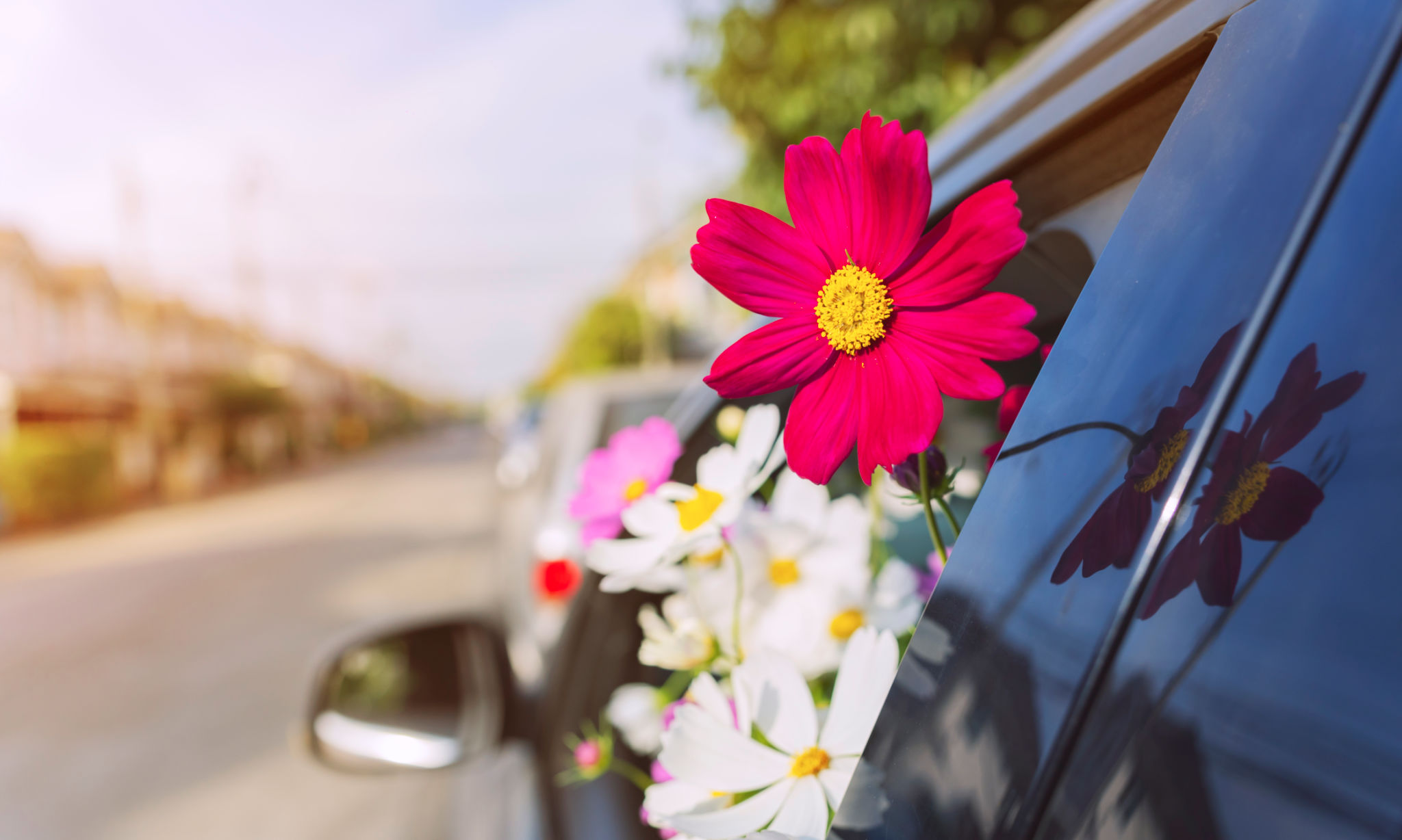 car seasonal care
