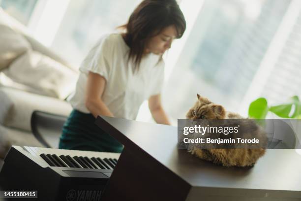 japanese woman playing electric piano with cat sitting nearby - electric piano fotografías e imágenes de stock