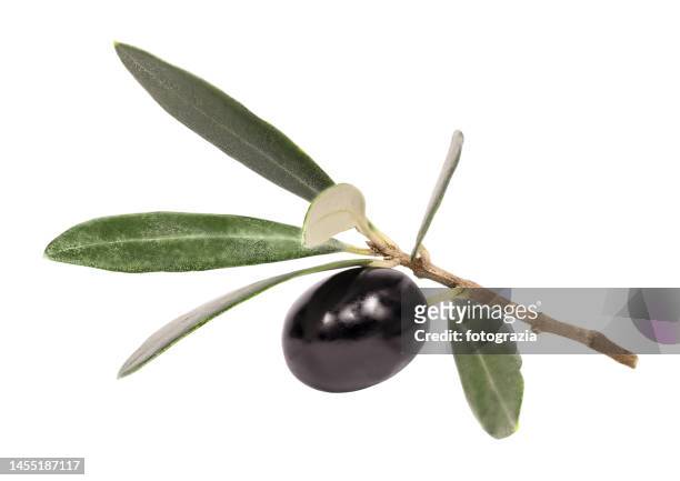fresh olive - black olive stockfoto's en -beelden