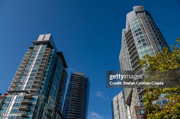 skyscrapers in vancouver canada - canadian maple trees from below stock-fotos und bilder