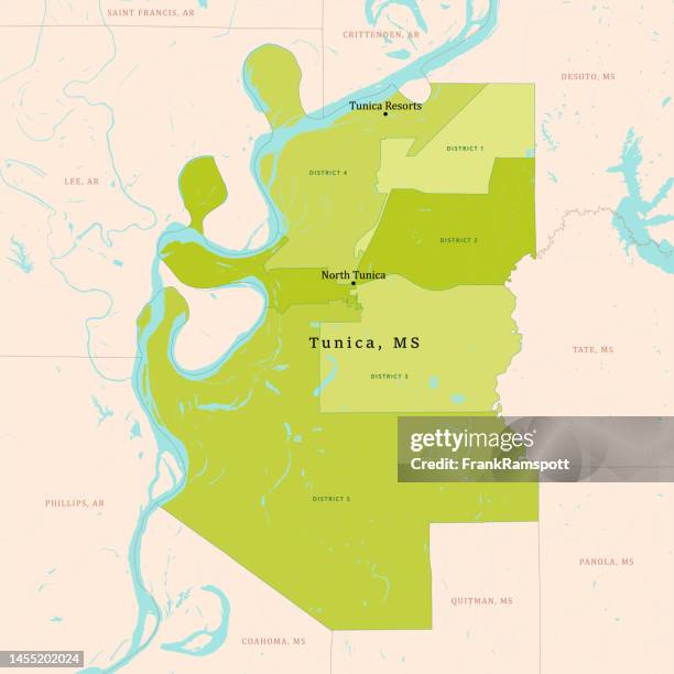 ms tunica county vector map green - tunica mississippi stock illustrations