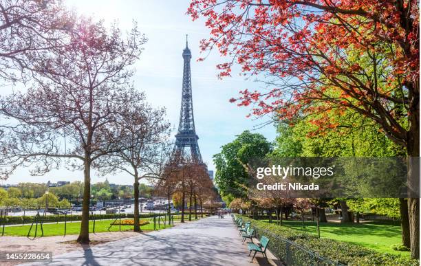 spring in paris - paris springtime stock pictures, royalty-free photos & images