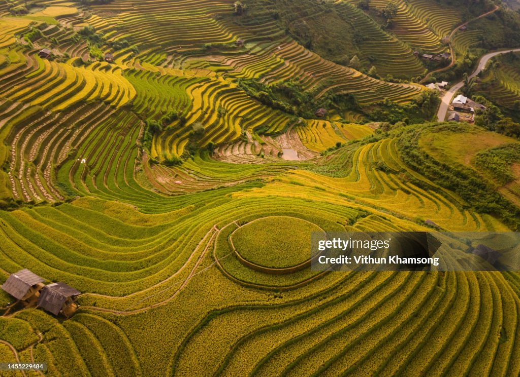 Aerial View Of Rice Field At Vietnam High-Res Stock Photo - Getty Images