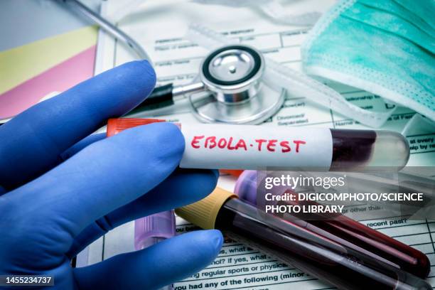 ebola virus test, conceptual image - ebola bildbanksfoton och bilder