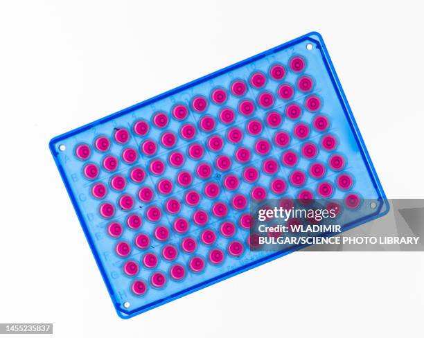 microwell plate - microplate stock pictures, royalty-free photos & images