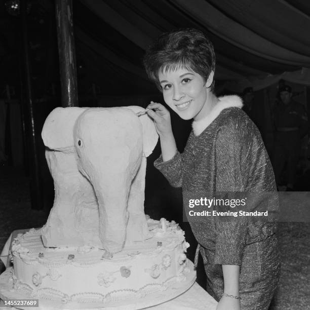 British singer Helen Shapiro posing next to a cake decorated with a model of an elephant on November 2nd, 1961.