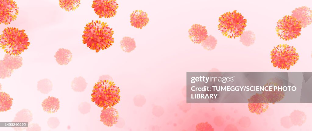 Respiratory syncytial virus particles,