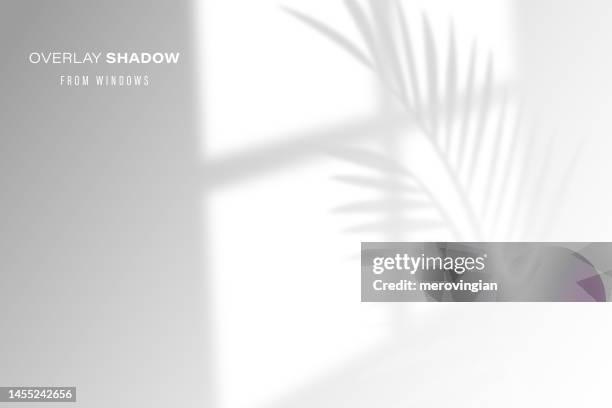 stockillustraties, clipart, cartoons en iconen met shadow overlay effect of room window pane - plant