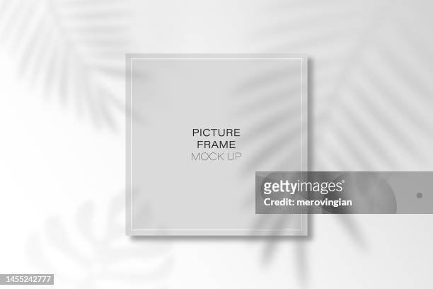 shadow silhouette effect on template - plant silhouette stock illustrations
