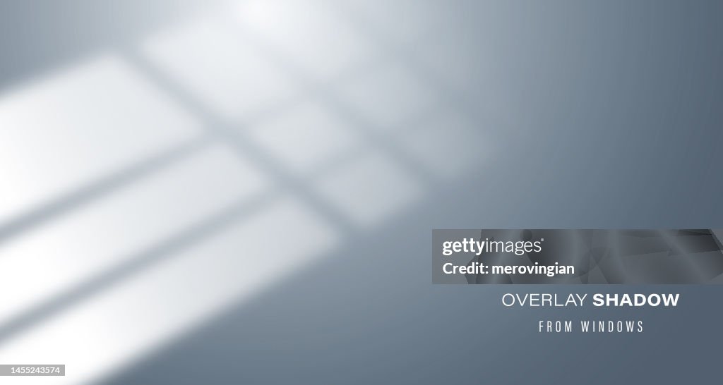 Window Screen Effect Shadow Overlay Effect Of Room Window Pane High-Res Vector Graphic ...