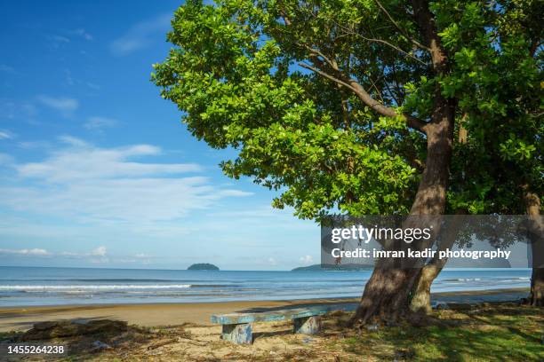 chairs and trees on the beach - kota kinabalu beach stock pictures, royalty-free photos & images