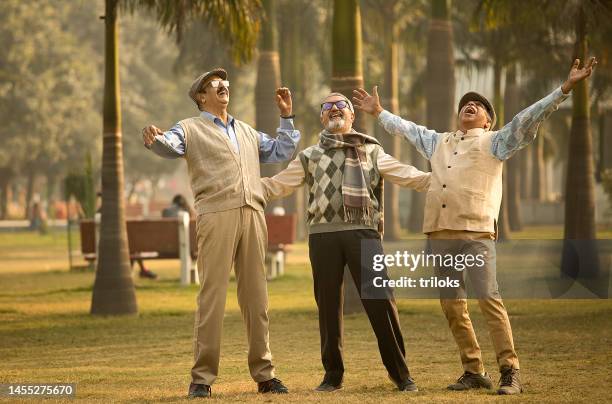 old male friends having fun together at park - ecstatic stock pictures, royalty-free photos & images