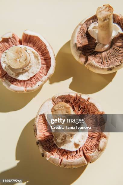 pattern of fresh mushrooms champignon on beige background. flat lay, top view - champignon stockfoto's en -beelden