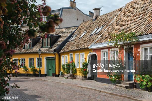 typical, historic street in the inner city of lund (southern sweden). in front of most of the houses are hollyhocks in bloom - lund stockfoto's en -beelden