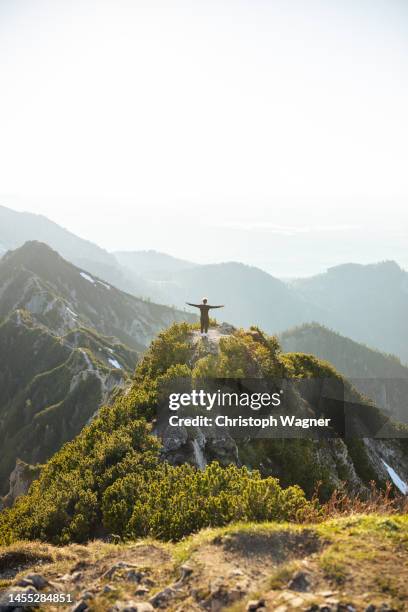 mann beim wandern in den alpen - bavarian alps stock pictures, royalty-free photos & images