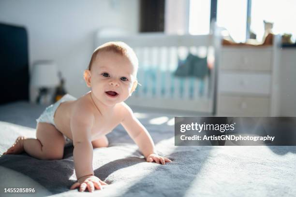 bebé gateando. - diaper boy fotografías e imágenes de stock