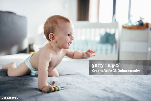 learning how to crawl. - crawling stock pictures, royalty-free photos & images