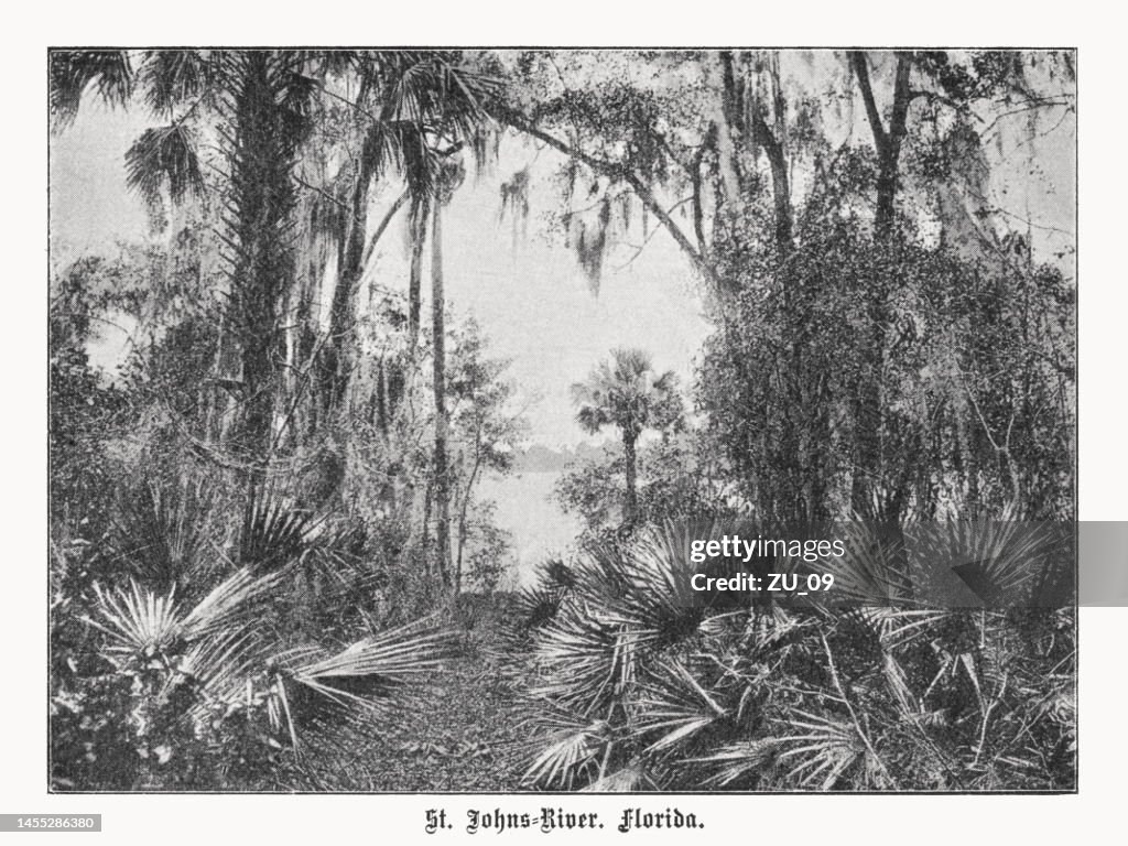 St. Johns River, Florida, USA, halftone print, published in 1899