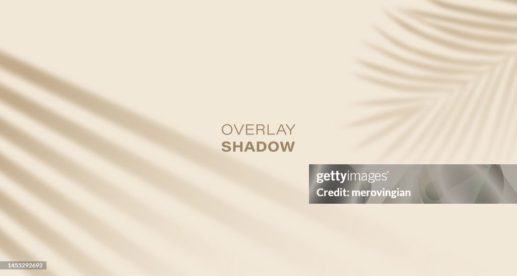 Schatten-Overlay-Effekt der Sonnenbrille mit Palmblättern