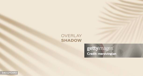 stockillustraties, clipart, cartoons en iconen met shadow overlay effect of sun blind with palm leaves - palmboom