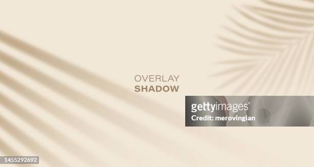 shadow overlay effect of sun blind with palm leaves - shadow stock illustrations