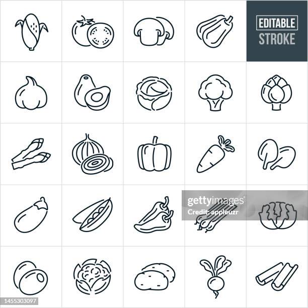 ilustraciones, imágenes clip art, dibujos animados e iconos de stock de vegetales iconos de línea fina - trazo editable - los iconos incluyen maíz, tomate, champiñones, calabaza, aguacate, brócoli, coliflor, alcachofa, cebolla, espinacas, lechuga, patatas, espárragos, zanahoria, repollo, apio - agua