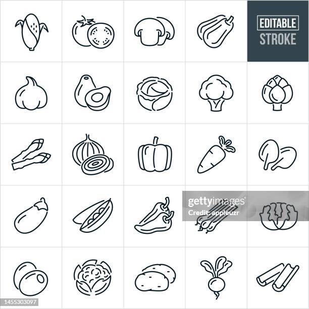 ilustrações de stock, clip art, desenhos animados e ícones de vegetables thin line icons - editable stroke - icons include corn, tomato, mushrooms, squash, avocado, broccoli, cauliflower, artichoke, onion, spinach, lettuce, potatoes, asparagus, carrot, cabbage, celery - alface