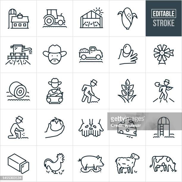 landwirtschaft und landwirtschaft dünne linie symbole - editierbarer strich - symbole umfassen eine scheune, silo, traktor, gewächshaus, gemüse, getreide, landwirt, geflügel, vieh, nutztiere, pflanzen, anbau, milchprodukte, farm to table - tractor stock-grafiken, -clipart, -cartoons und -symbole