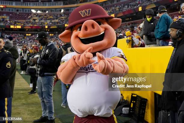 Washington Commanders new mascot Major Tuddy poses before the team's game against the Dallas Cowboys at FedExField on January 08, 2023 in Landover,...