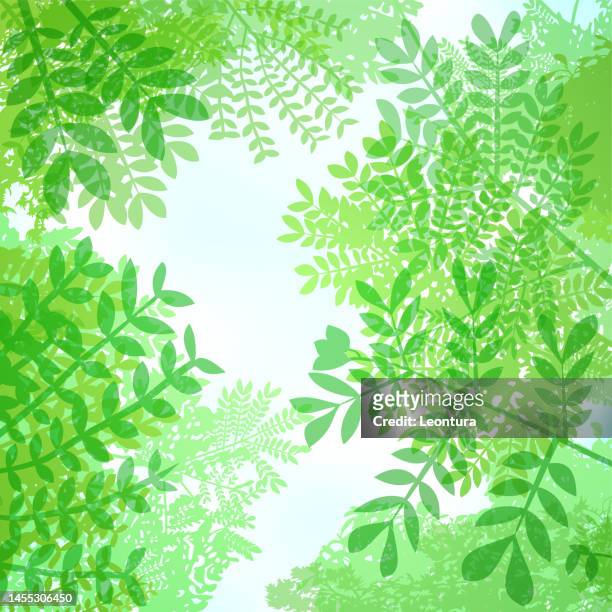 spring canopy - canopy stock illustrations