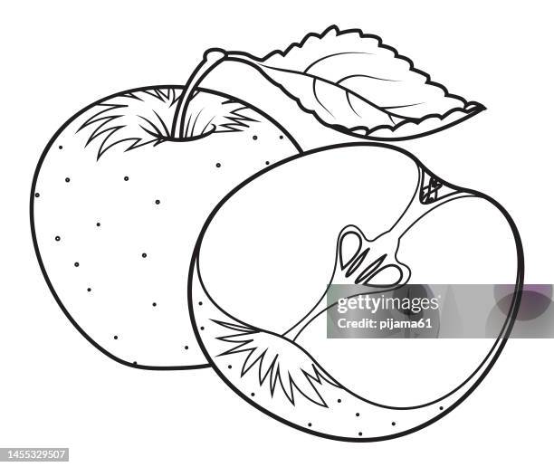 black and white red apples - cutting green apple stock illustrations