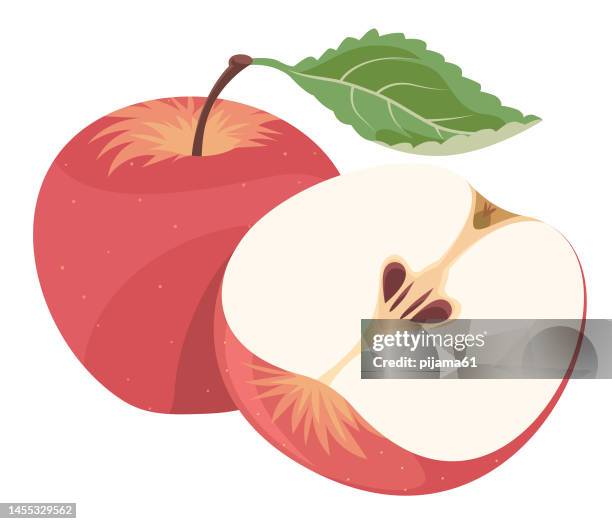 stockillustraties, clipart, cartoons en iconen met red apples - apple