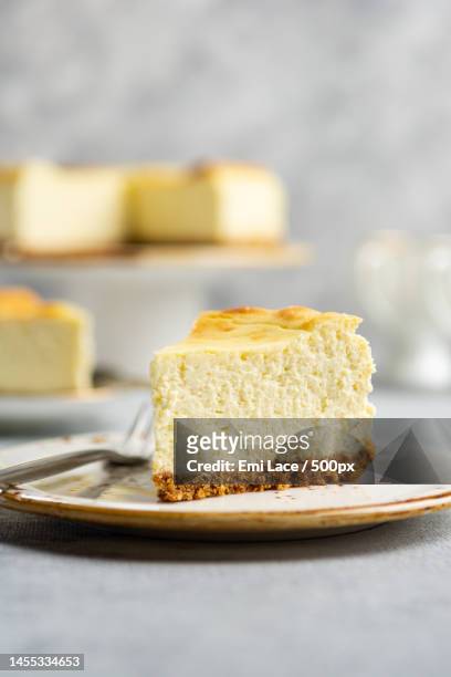 a piece of vanilla cottage cheese cheesecake on a shortbread on a - cheesecake fotografías e imágenes de stock