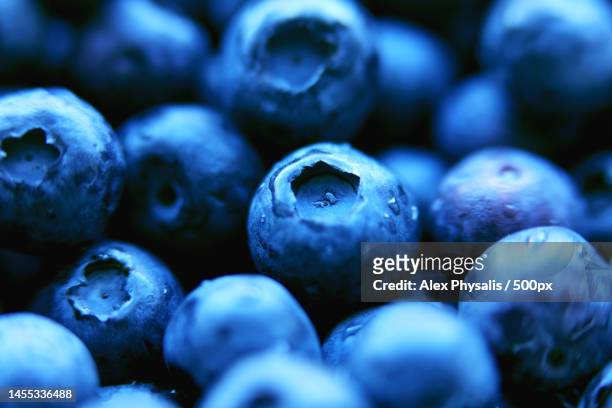 full frame shot of blueberries,belarus - blauwe bosbes stockfoto's en -beelden