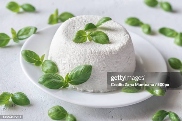 close-up of dessert in plate on table,romania - ricotta cheese stock pictures, royalty-free photos & images