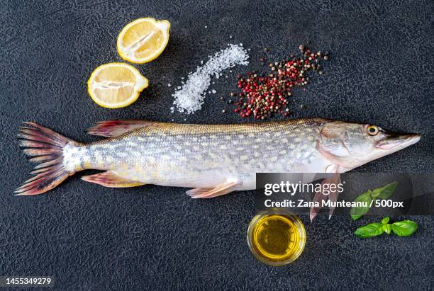 high angle view of pike with pike on table,romania - pike fish stockfoto's en -beelden