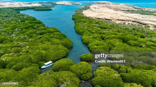 saudi arabia, jazan province, aerial view of boat sailing through mangrove forest in farasan islands archipelago - saudi arabia stock pictures, royalty-free photos & images