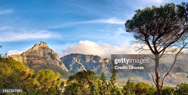 immagini dei dodici apostoli e camp's bay - città del capo - south africa foto e immagini stock