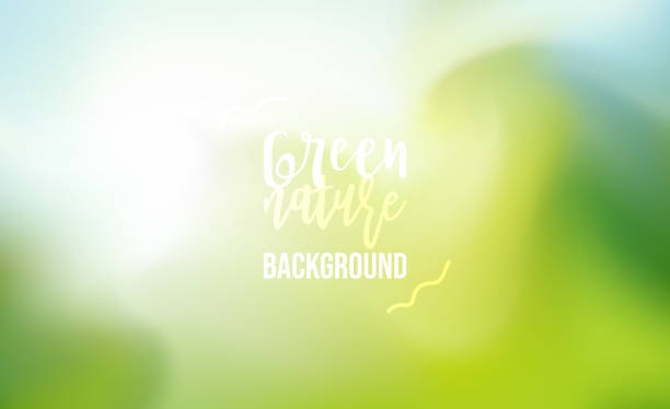 blurred green colours nature fluid background - spring background stock illustrations