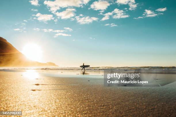 surf sunset mt maunganui new zealand - mount maunganui 個照片及圖片檔