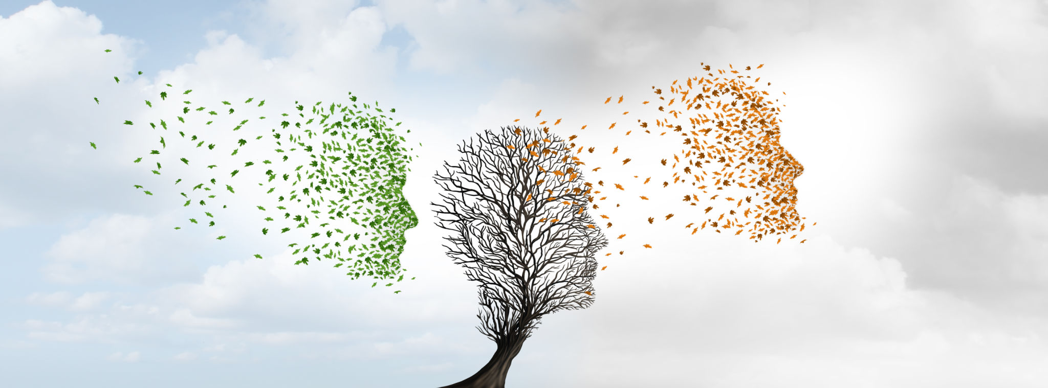 Self Renewal and Rejuvenation Self Renewal and Rejuvenation