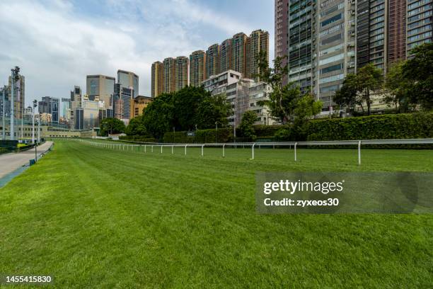 hong kong racecourse - horseracing track stock pictures, royalty-free photos & images