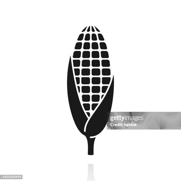 corn. icon with reflection on white background - sweetcorn stock illustrations