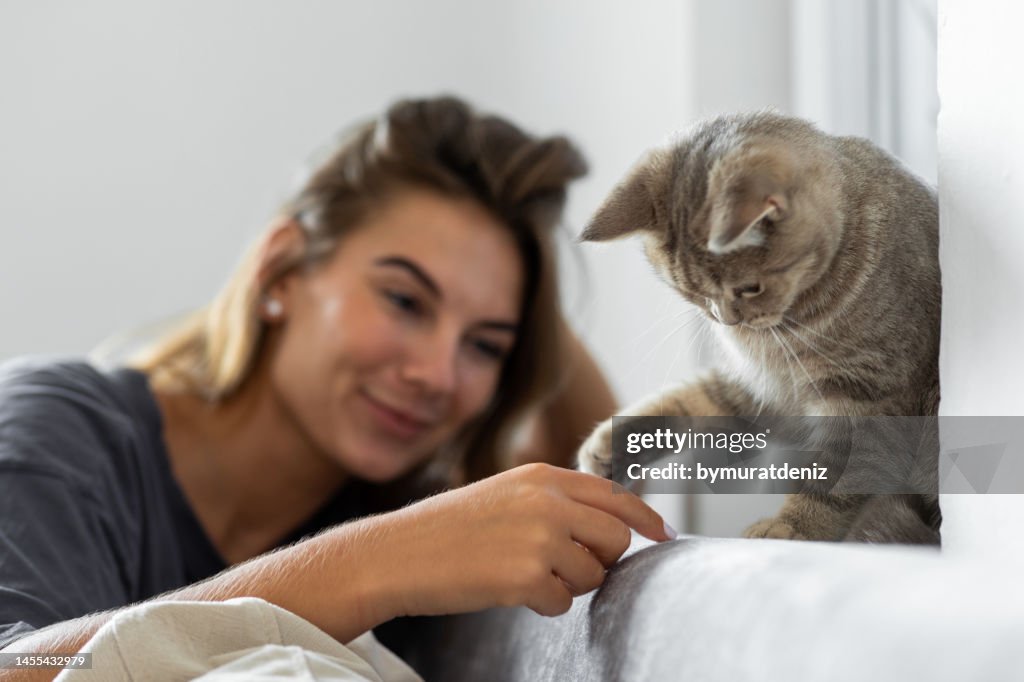 Woman playing on the sofa with her cat