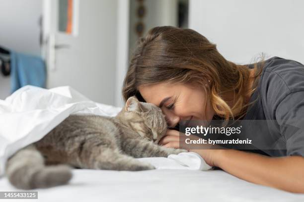 woman with cute cat resting at home - cats on the bed stock pictures, royalty-free photos & images