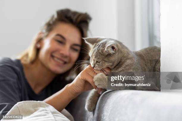 donna che gioca sul divano con il suo gatto - mordere foto e immagini stock