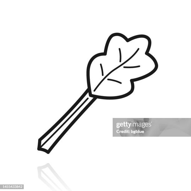 rhubarb. icon with reflection on white background - rhubarb stock illustrations
