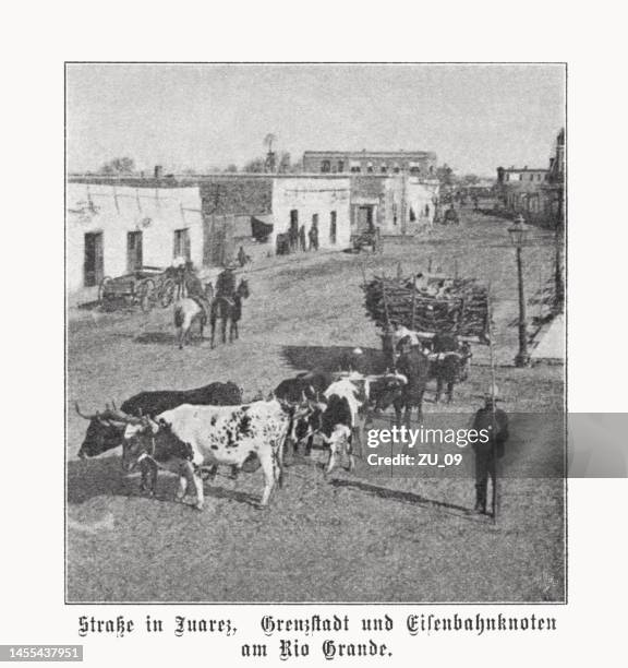 ciudad juárez, chihuahua, mexico, halftone print, published in 1899 - ciudad 幅插畫檔、美工圖案、卡通及圖標