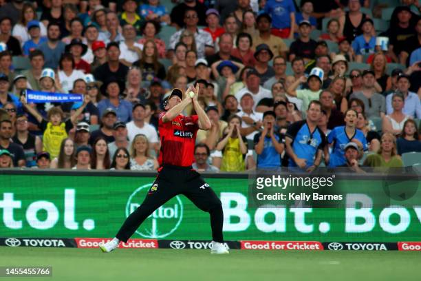Tom Rogers of the Renegades catches the ball from Colin De Grandhomme of the Strikers during the Men's Big Bash League match between the Adelaide...